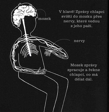 Náhled Lidské tělo - Posviť na to