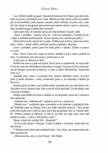 Náhled Upíři z Chicaga 10 - Krvavé hry