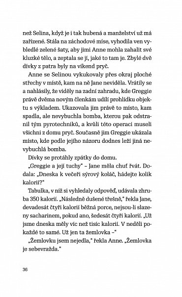 Náhled Dívky bez prostředků