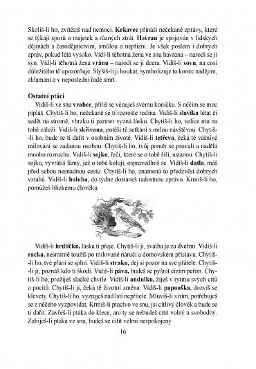 Náhled Velký snář