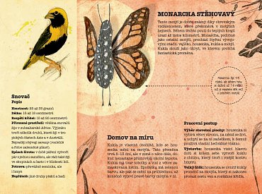 Náhled Zvířecí architekti