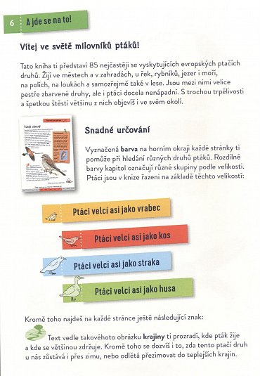 Náhled Ptáci - Poznej 85 zajímavých druhů