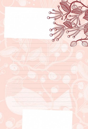 Náhled Motivační deník s afirmacemi Jana Menděla