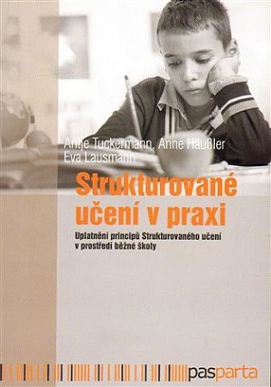 Strukturované učení v praxi - Uplatnění principů Strukturovaného učení v prostředí běžné školy