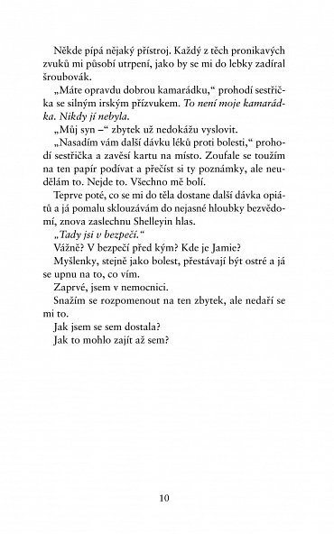 Náhled Dokonalá zrada