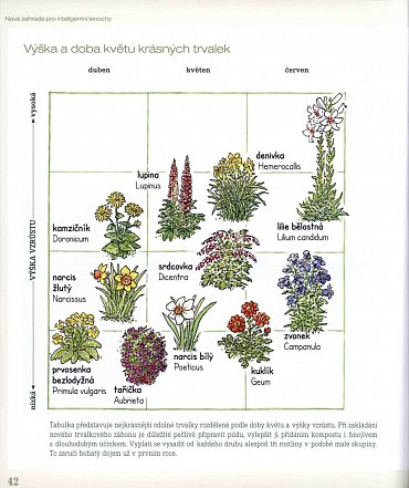 Náhled Nová zahrada pro inteligentní lenochy - Zahradničíme v souladu s přírodou