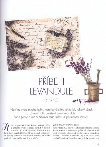 Náhled Levandule - Recepty, návody a tipy pro pěstování, výrobu domácí kosmetiky, tvoření dekorací a vaření s levandulí
