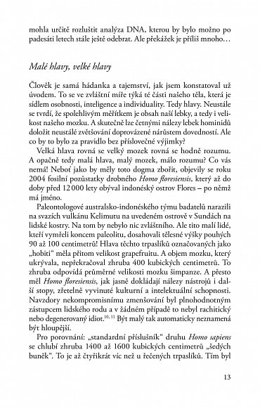 Náhled Medicína doby kamenné