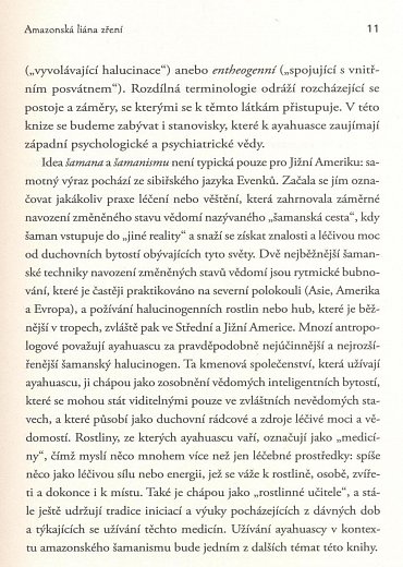 Náhled Ayahuasca jako lék - zkušenosti a léčení