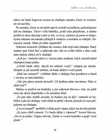 Náhled Na chalupě s moderním fotrem