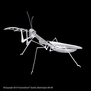 Metal Earth 3D puzzle: Kudlanka nábožná