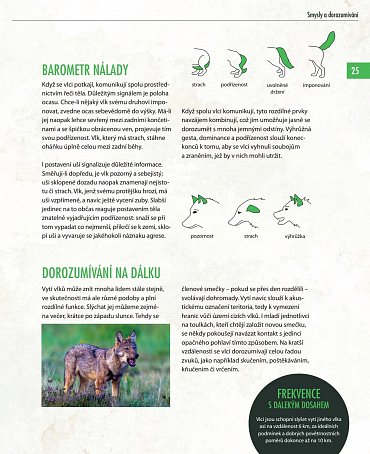 Náhled Vlci - Na toulkách s fotografem zvířat Axelem Gomillem