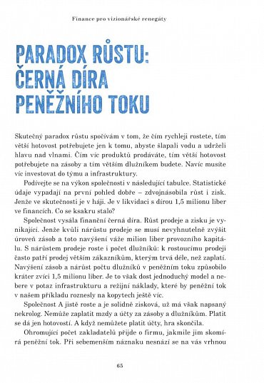 Náhled Punkové podnikání - Proti všem pravidlům