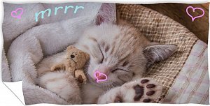 Froté osuška Koťátko s medvídkem