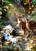 Diamantové malování Jelen a srnka u lesního potoka 30x40cm