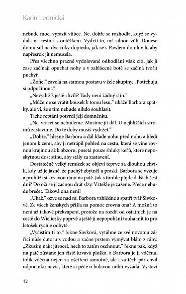 Náhled Šikmý kostel - Románová kronika ztraceného města, léta 1894-1921