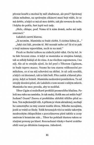 Náhled Prameny Vltavy, 1.  vydání