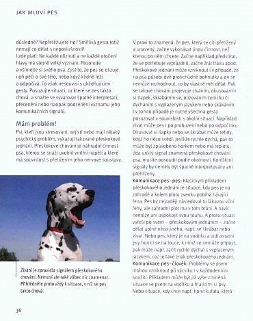 Náhled Co nám říká pes?