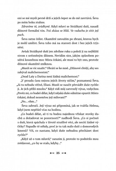 Náhled Smrt před branami