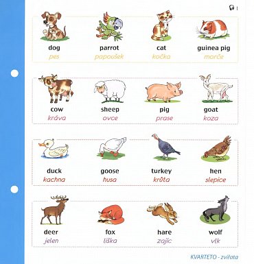 Náhled Angličtina KVARTETO - Audiokarty + CD (zvířata a rodina)