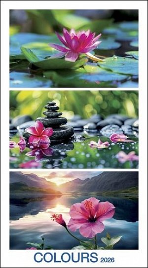 Kalendář 2026 Colours, nástěnný, 33 x 60 cm