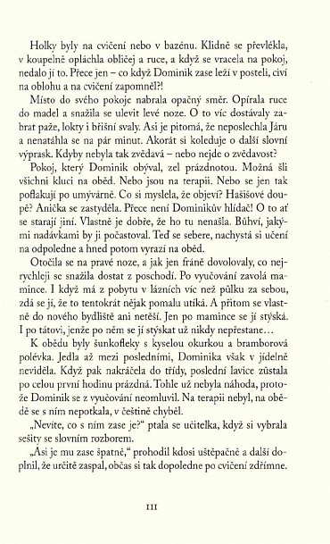 Náhled Střípek nebe