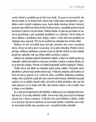 Náhled Na chalupě s moderním fotrem