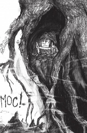 Náhled Jak zradit dračího hrdinu (Škyťák Šelmovská Štika III.) 11, 1.  vydání