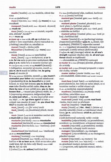 Náhled Velký AČ slovník - Fronek (2 knihy)