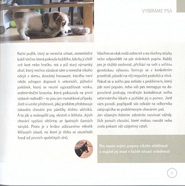 Náhled Od štěněte ke psu - Jak nenásilně vychovat skvělého společníka