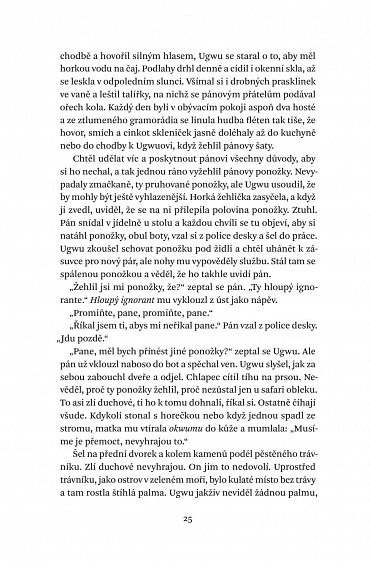 Náhled Půl žlutého slunce, 2.  vydání