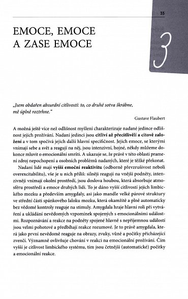 Náhled Život s vysokou inteligencí - Průvodce pro nadané dospělé a nadané děti