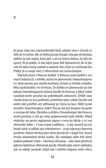 Náhled Kdo chytá v žitě