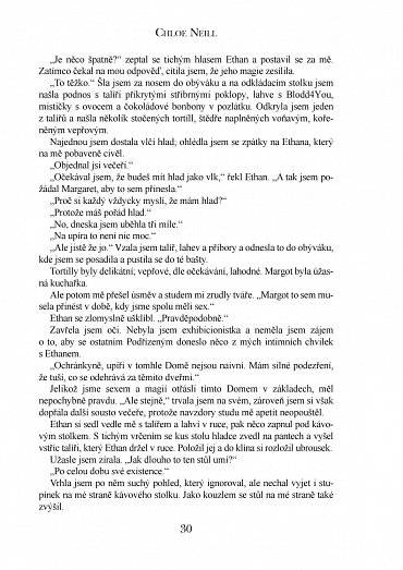 Náhled Upíři z Chicaga 10 - Krvavé hry