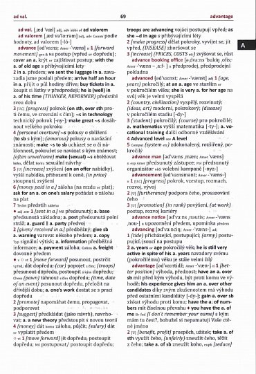 Náhled Velký AČ slovník - Fronek (2 knihy)