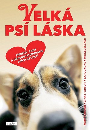 Velká psí láska