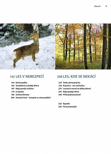 Náhled Můj první les - Trvale udržitelné a přirozené lesní hospodářství