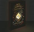 Harry Potter obraz LED svítící 30x40 cm - Pobertův plánek