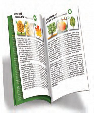 Náhled Pexetrio - Stromy