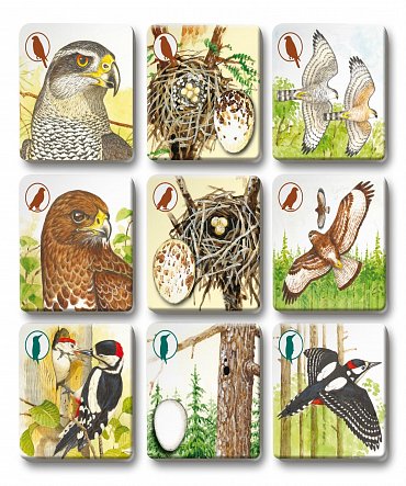 Náhled Pexetrio - Ptáci