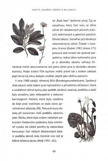 Náhled Bylinářství - Věda i alchymie