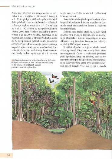 Náhled Arové - Chov, výživa a krmení, voliéry, život ve volnosti