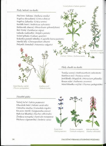 Náhled Zahrada k nakousnutí - Permakultura podle Seppa Holzera