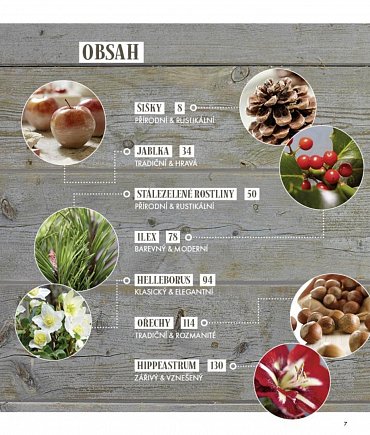 Náhled Advent a Vánoce - Elegantní dekorace z přírodních materiálů