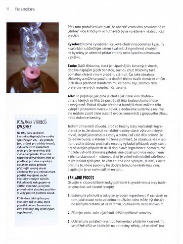 Náhled Děláme si sami pivo, víno, medovinu, cider, šumivé nápoje a další unikátní speciality