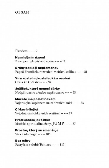 Náhled Biskup na snowboardu