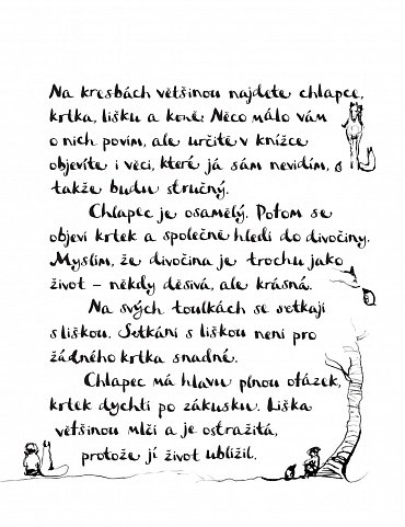 Náhled Chlapec, krtek, liška a kůň