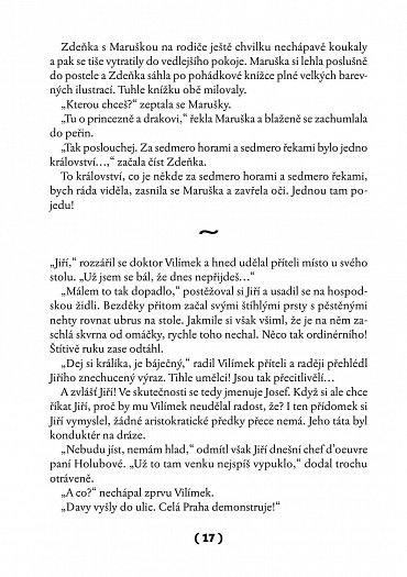 Náhled To je on! O té, co si říkala Toyen