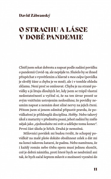 Náhled Objekty v zrcadle jsou blíž, než se zdají být - Sborník povídek