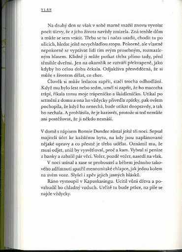 Náhled Drahý život